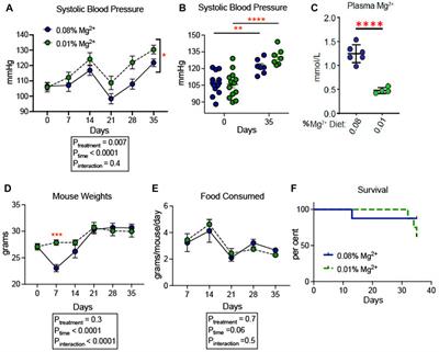 The role of dietary magnesium deficiency in inflammatory hypertension